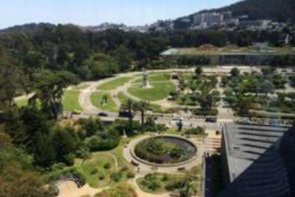 ［ コラム ］散骨<br>素敵な「散骨の旅」のお手紙をご紹介します。