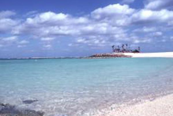 ［ 情報室 ］散骨<br>散骨に関する留意事項