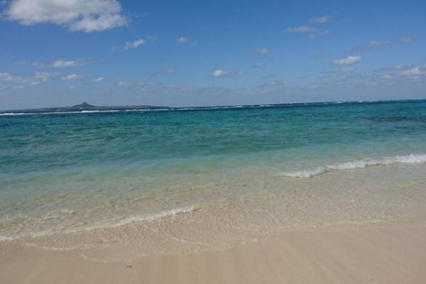 ［ 情報室 ］<br>散骨された国内の主な有名人