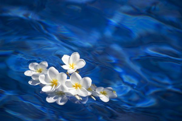 Q.初めて散骨をしますので、ルールやマナー以外にも注意点などあれば教えてください。