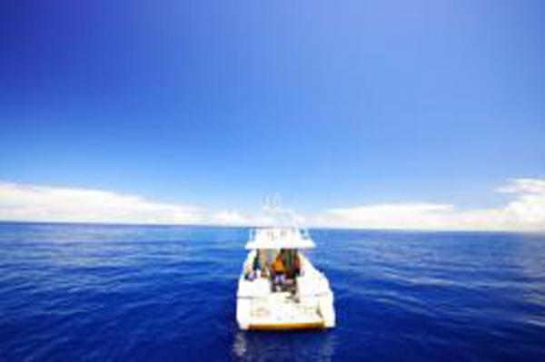 ［ コラム ］散骨<br>戒名も要らない散骨して誰にも知らせるな　Part2