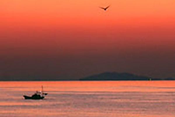 ［ コラム ］<br>散骨の旅　第３話<br>「水平線に沈む夕陽」