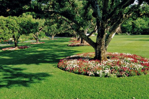 ［ Ｑ＆Ａ ］散骨<br>自然葬を考えていますが、費用負担の少ない方法があれば教えてください。