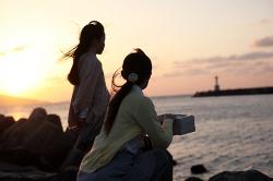 散骨をしたい・されたいが倍増しています。