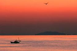 散骨の旅　体験談　第三話 「水平線に沈む夕陽」