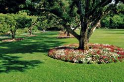 自然葬を考えていますが、費用負担の少ない方法があれば教えてください。